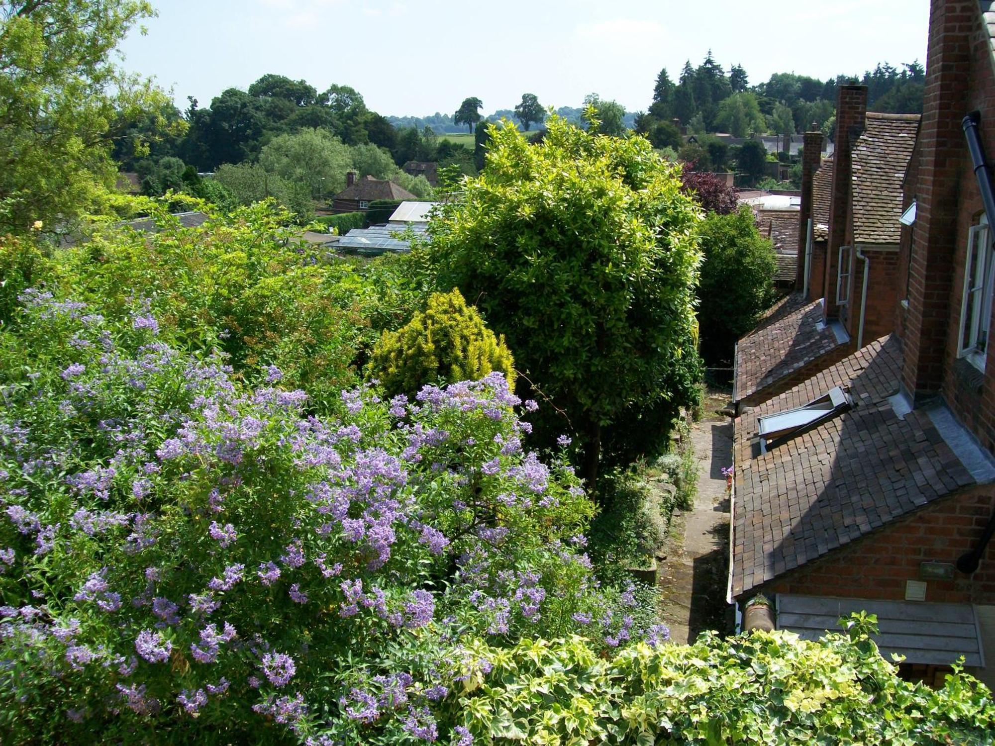 Frog Cottage, Ludlow - A Charming Townhouse For 4 Екстер'єр фото